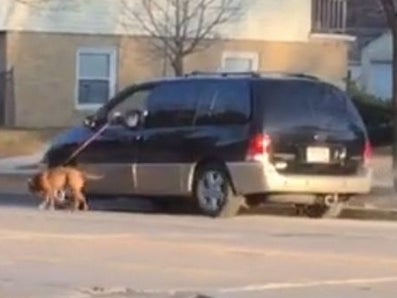 Laziest Pet Owner Alive Walks His Dog While Driving Alongside In A Minivan