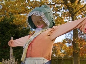 Man Dies After Having Sex With A Scarecrow That He Fitted With A Six Inch Strap-On Dildo