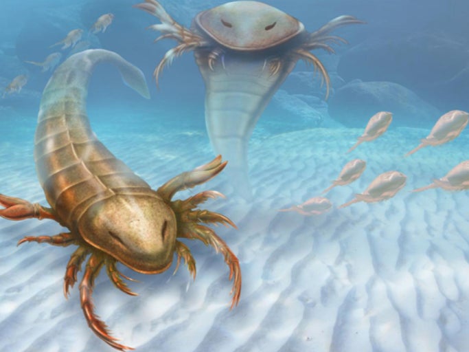 Scientists Discover That A Man-Sized Scorpion Was Once The World's Most Dominant Predator And It Lived In A Sea-Covered Iowa