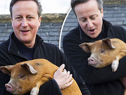 Start Your Monday With A Heartwarming Story Of The British Prime Minister Allegedly Sticking His Dick Inside A Dead Pig's Mouth
