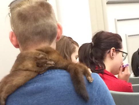 It's Impossible To Have More Classroom Swag Than This Kid's Dead Animal Scarf