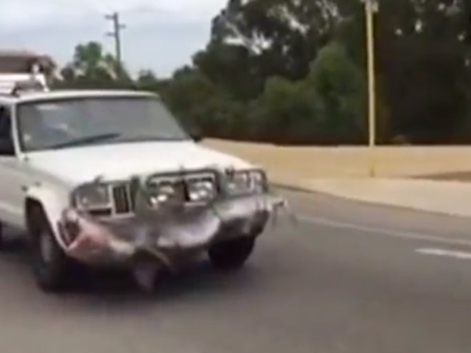 Shout Out To This Guy Driving Around Australia With A Dead Shark Tied To His Bumper
