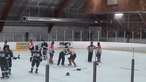 hockey-fight-trainer-2