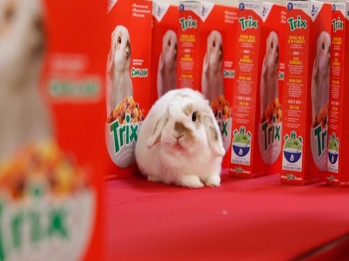 I Hate That The New Trix Rabbit Is A Real Bunny