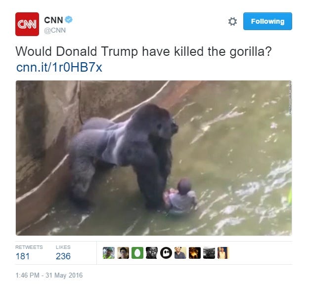 cnn-trump-gorilla