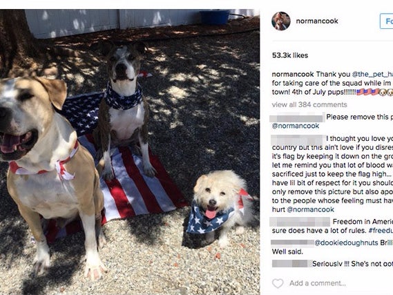 Kaley Cuoco Gets Internet-Crushed For Letting Her Dog Sit On The American Flag On The 4th of July