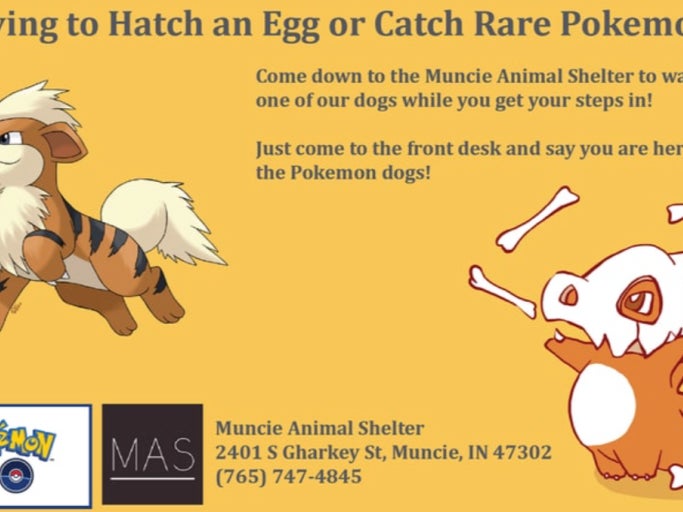 Genius Animal Shelter Asks People To Come Walk Their Rescue Dogs While Playing Pokemon GO