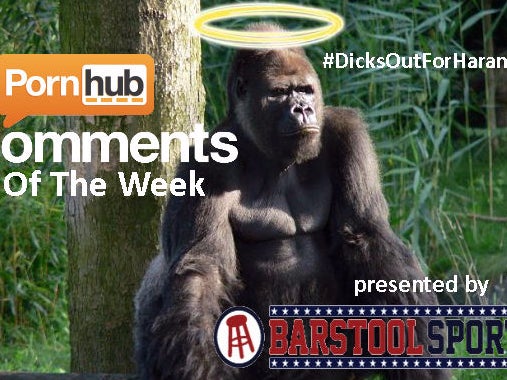 Get Your Dicks Out For Harambe With This Edition Of Top P-hub Comments Of The Week