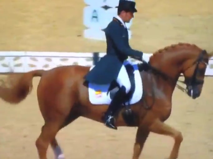 A Horse Dancing To Rob Thomas' "Smooth" Is An Olympic Event