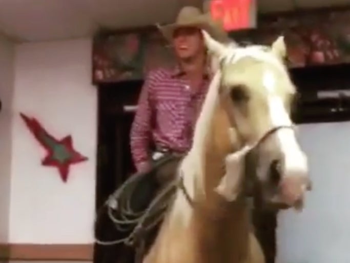 Texas Dude Rides His Horse Into A Taco Bell And I Guess That's Not Normal Down There?