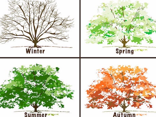 The Eliminator: Seasons