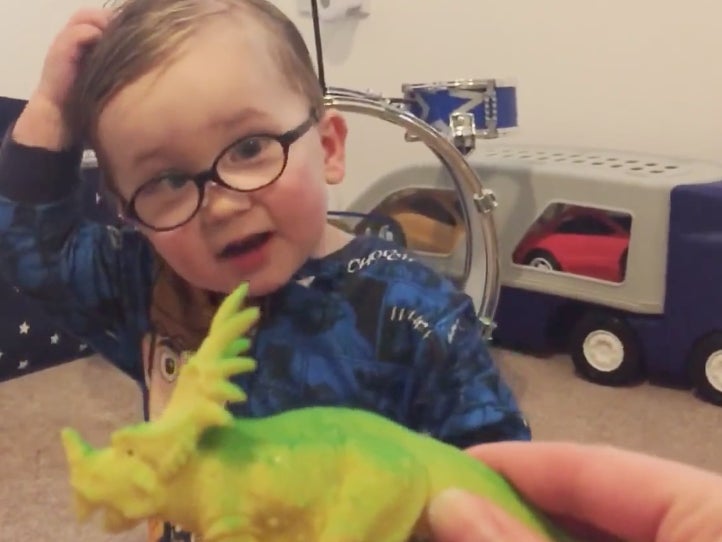 Can We Pump The Brakes On Calling This 2yr Old A Dinosaur Expert?