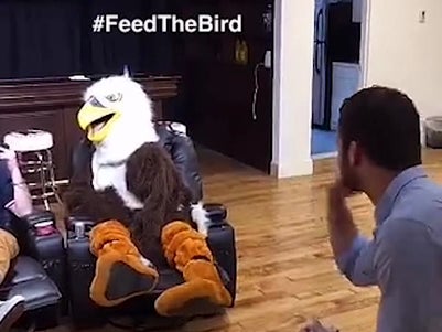 At Least The Grown Ass Man Dressed As An Eagle Was Fed Well All Day Long #BigBirdBigCat