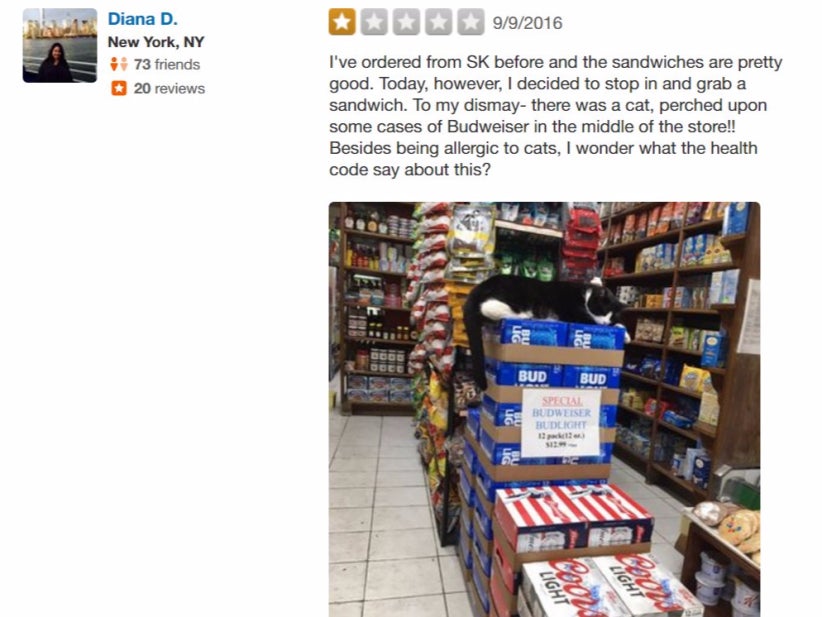 Some Lady Had The Nerve To Leave A 1-Star Yelp Review Because Her Local Bodega Had A Cat Living In It