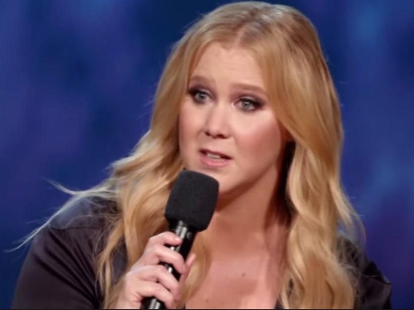 Amy Schumer Rips Apart Donald Trump Supporters On Instagram, Uses Fake Donald Trump Quote