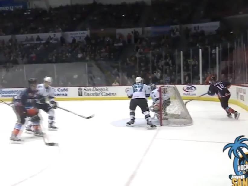 We Had A Successful Mike Legg/Michigan/Lacrosse Goal In The AHL Last Night But The Announcer Stole The Show