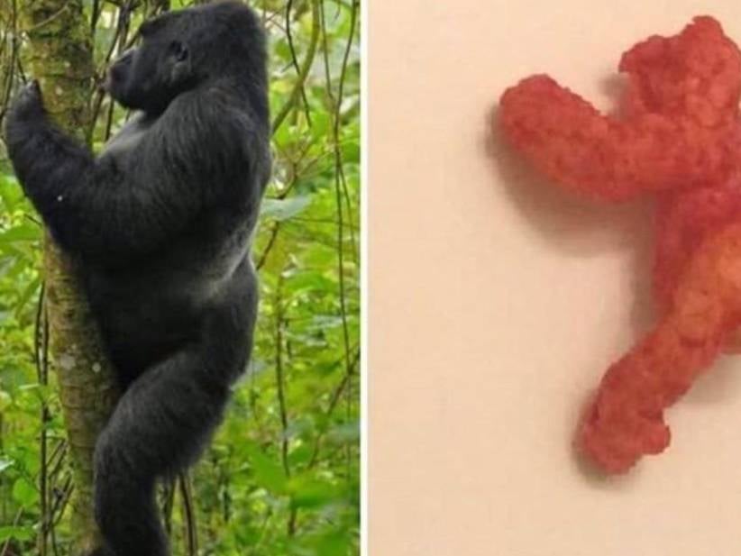Someone Spent $100,000 On A Cheeto That Looks Like Harambe