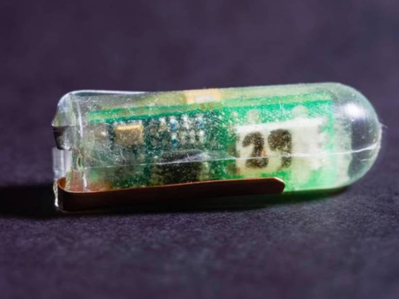 The People At MIT Made A Battery That's Safe To Swallow Instead Of A Battery That Lasts Forever