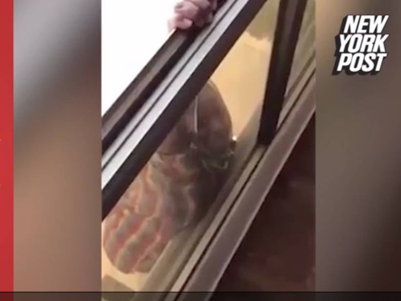 Boss Films Her Maid Hanging Out The Bathroom Window, Lets Her Fall 7 Stories