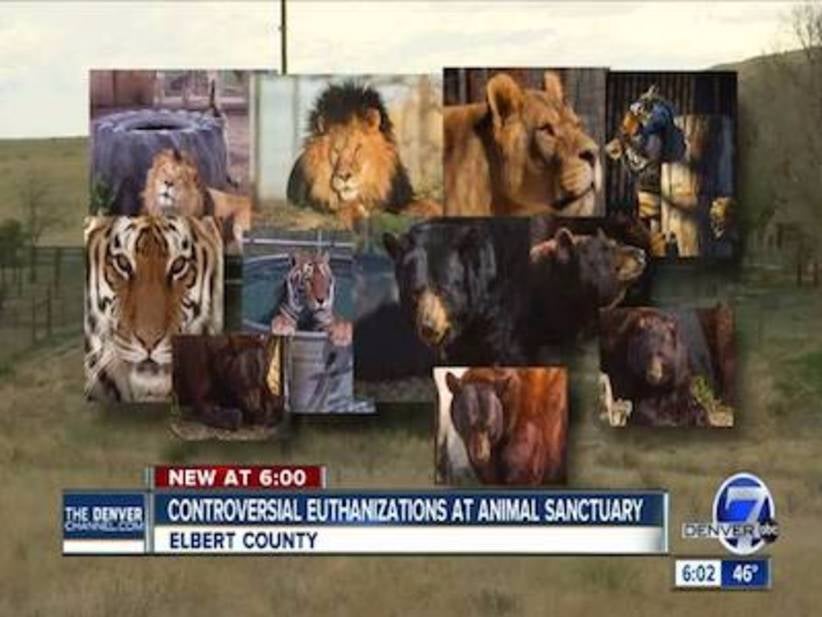 A Colorado Animal Sanctuary Killed All 11 Of Its Animals After It Was Denied Relocation By The Government, Making It Basically The Worst Animal Sanctuary In The World