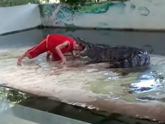 Man Puts His Head In The Mouth Of A Hungry Croc And You Won't Believe What Happens Next!