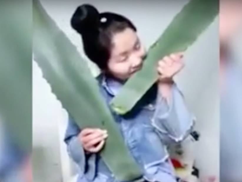 Wellness Vlogger Accidentally Eats A Poisonous Plant During Live Stream