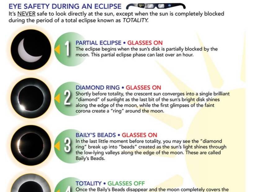 People Who Wear Solar Eclipse Glasses Are Marshmallow Soft