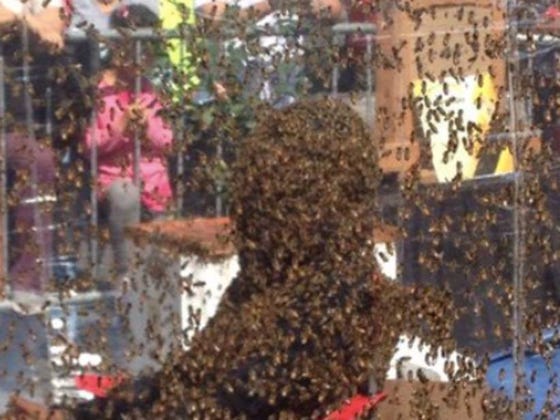 Dude Promotes His New Movie With A Strong PR Campaign, Flashy Billboards, and...Covering His Entire Head In Bees For 61 Minutes?