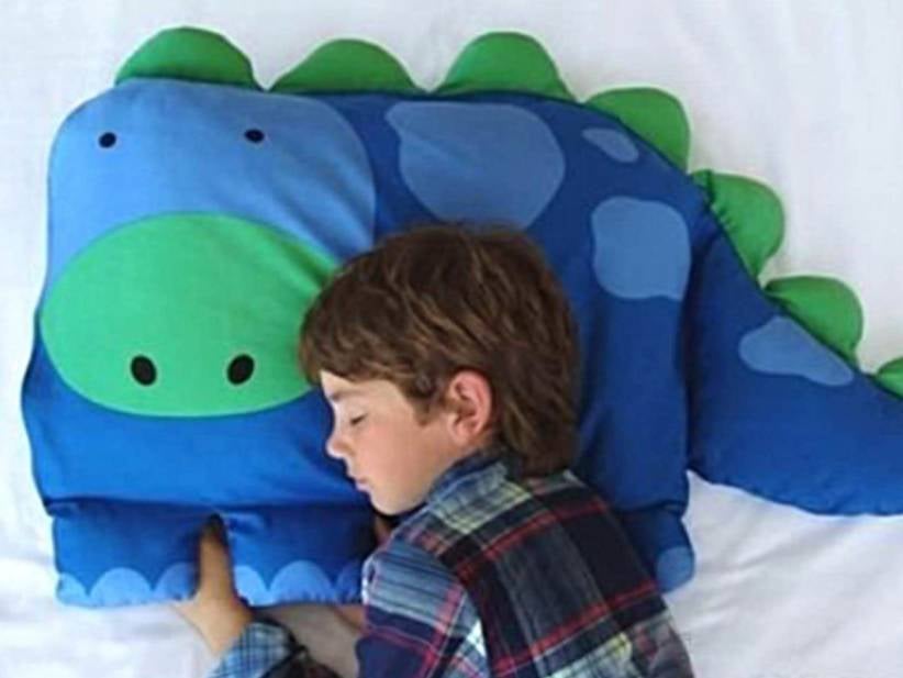 Guy Orders A Dinosaur Pillow On Amazon And Instead Gets A Picture Of A Dinosaur Pillow On A Regular Pillow