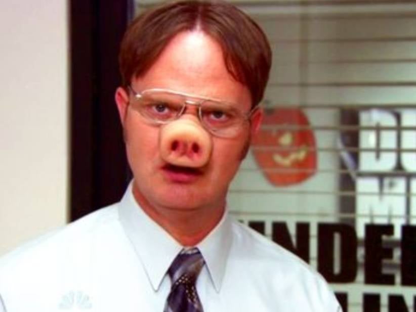 Dwight Schrute Is Now A Vegan After Realizing Bacon Comes From Cute Pigs