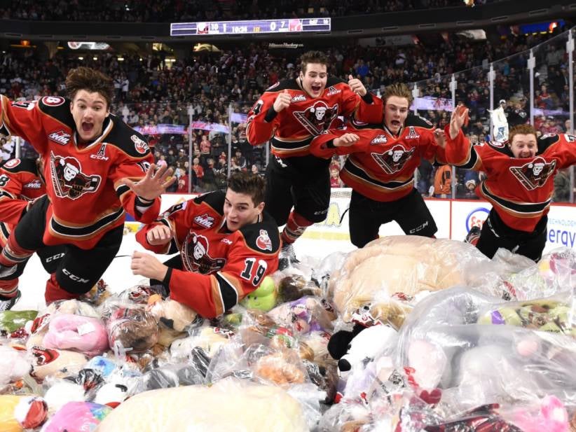 The Teddy Bears In Calgary Were Raining Down From The Heavens To The Amount Of 24,605 Teddy Bears For Charity