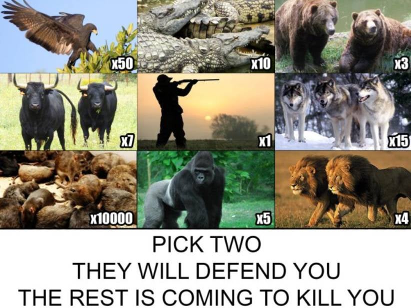 Pick Two To Defend You, The Rest Are Coming To Kill You