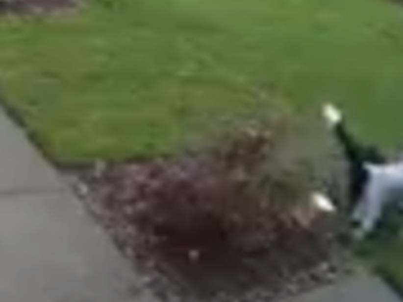 Today In Instant Karma: Woman Steals Package Off Of Someone's Porch Then Immediately Slips And Breaks Her Leg