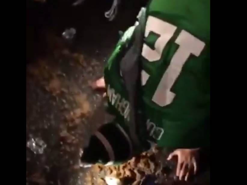 Eagles Fan Celebrates Winning The Super Bowl By Eating Some Horse Shit ...
