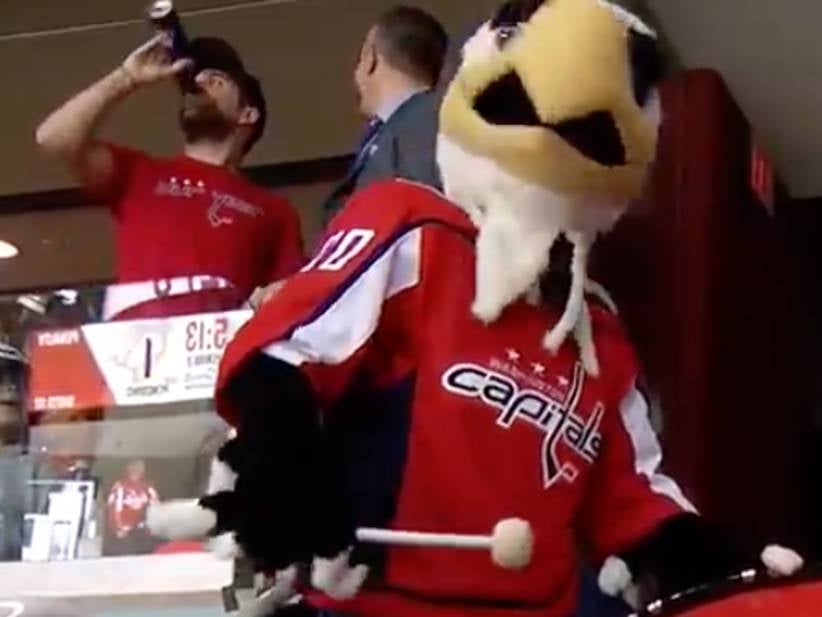 Nobody Is Better At Product Placement When The Bright Lights Are On Than Me #CapsYear