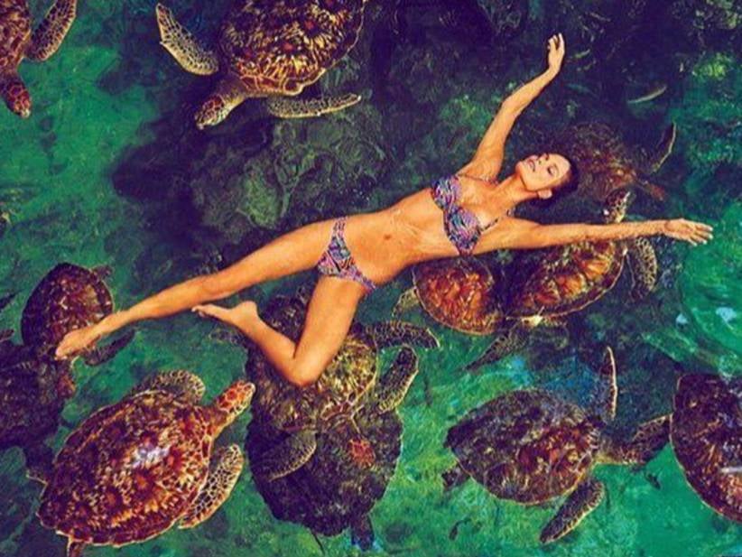 Celebrated Turtle Photographer Has His Award Taken Away for Using Pictures of Women in Bathing Suits
